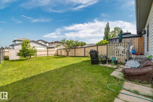 Expansive grassy backyard featuring a wooden privacy fence, mature trees, a storage shed, and a concrete patio - 3769 21 Street Nw, Edmonton, AB - Outdoor
