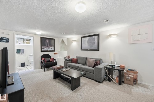 10935 127 Street Nw, Edmonton, AB - Indoor Photo Showing Living Room