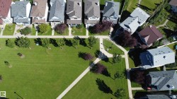 Expansive green space with mature trees and paved walking paths - 