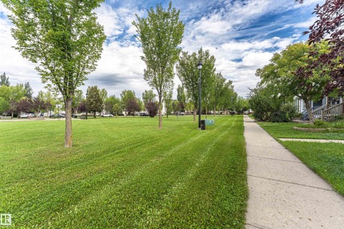 Expansive green space featuring mature trees and a paved sidewalk - 4121 Tompkins Way Nw, Edmonton, AB - Outdoor With View