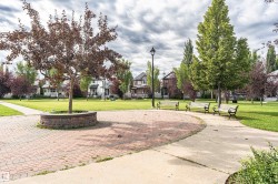 Expansive green space featuring mature trees, a paved brick pathway, and a central tree planter - 