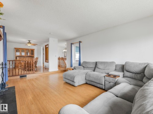 4512 20A Avenue Nw, Edmonton, AB - Indoor Photo Showing Living Room