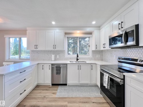 4235 147 Street Nw, Edmonton, AB - Indoor Photo Showing Kitchen With Double Sink With Upgraded Kitchen