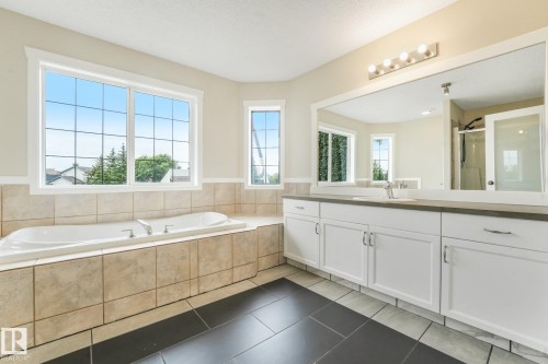 16523 89 Street Nw, Edmonton, AB - Indoor Photo Showing Bathroom
