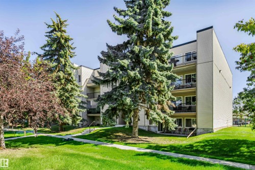 #208 9810 178 St Nw, Edmonton, AB 