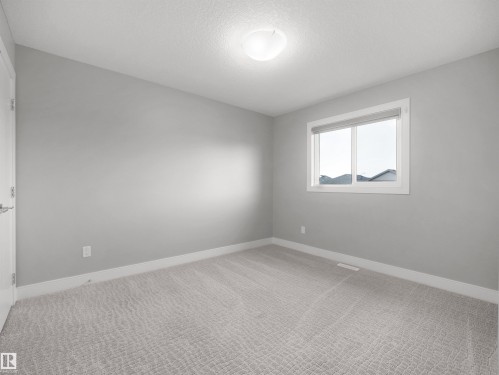 Neutral gray wall paint, patterned carpet, white trim, single window, and a flush-mount ceiling light - 17020 62 Street Nw, Edmonton, AB - Indoor Photo Showing Other Room