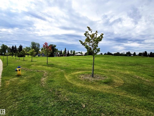 3104 32 Avenue Nw, Edmonton, AB - Outdoor With View