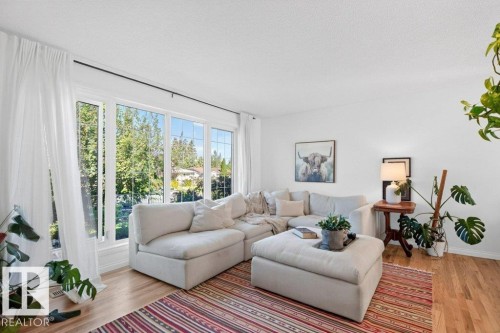 9047 52 Street Nw, Edmonton, AB - Indoor Photo Showing Living Room