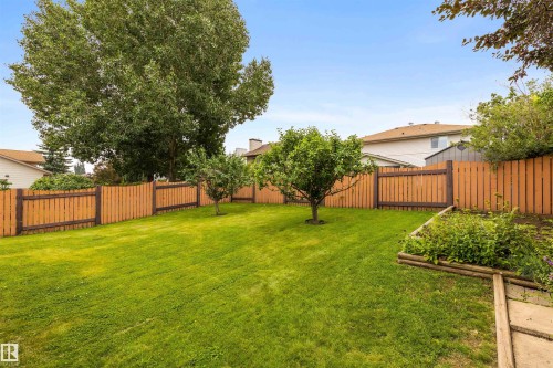 2 Dunvegan Crest, St. Albert, AB - Outdoor With Backyard