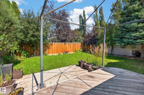 19040 70 Avenue Nw, Edmonton, AB - Outdoor With Deck Patio Veranda