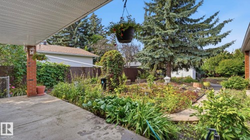 Carport with a brick column, concrete patio, established garden beds, mature trees, and a storage shed - 8408 176 Street Nw, Edmonton, AB - Outdoor