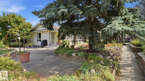 Exterior featuring light-colored siding, a front entry with steps and handrail, and a sunroom with large windows - 8408 176 Street Nw, Edmonton, AB - Outdoor