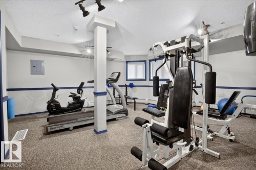 #300 7839 96 St Nw, Edmonton, AB - Indoor Photo Showing Gym Room
