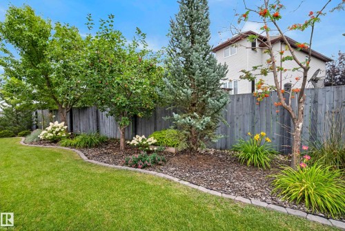 1322 Barnes Close Sw, Edmonton, AB - Outdoor