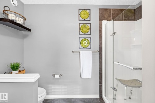 Glass-enclosed shower with a support bar, accompanied by a dark-tiled accent wall - 16512 140 Street Nw, Edmonton, AB - Indoor Photo Showing Bathroom