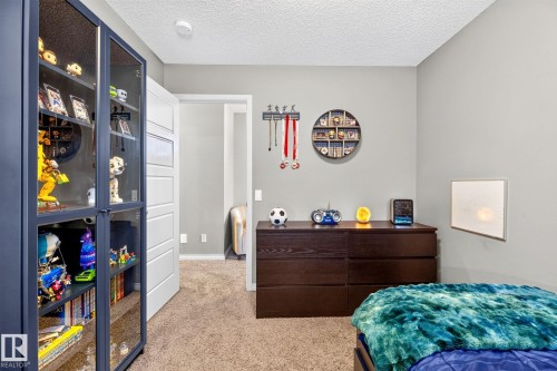 Neutral wall paint, textured carpet flooring, and a modern interior door with horizontal paneling - 16512 140 Street Nw, Edmonton, AB - Indoor Photo Showing Bedroom