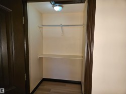 Interior closet with a single shelf and hanging rod, overhead flush-mount lighting, and wood-finish flooring - 