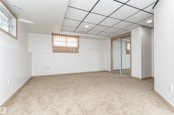 Plush carpet flooring, drop ceiling with recessed lighting, mirrored closet doors, and multiple windows - 