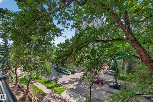 Lush tree canopy framing a residential street with mature trees and sidewalks - #401 10178 117 St Nw, Edmonton, AB - Outdoor