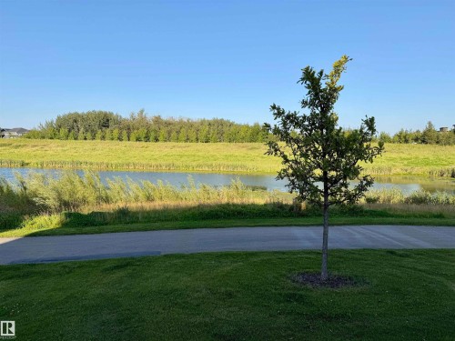 Expansive green space featuring a young tree, paved pathway, and a tranquil body of water bordered by natural vegetation - 7135 Edgemont Way Nw, Edmonton, AB 