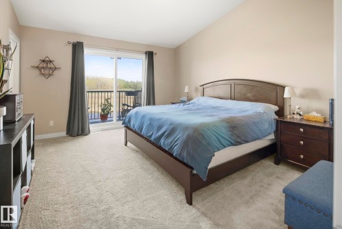 Neutral-toned walls complement plush carpeting - 7135 Edgemont Way Nw, Edmonton, AB 
