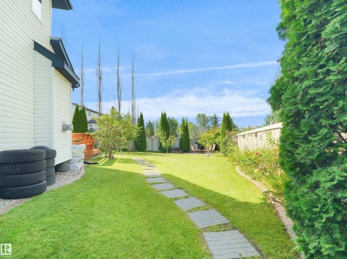 Expansive lawn with a stone pathway, mature perimeter trees, and a wooden fence - 614 Silver Berry Road Nw, Edmonton, AB - Outdoor