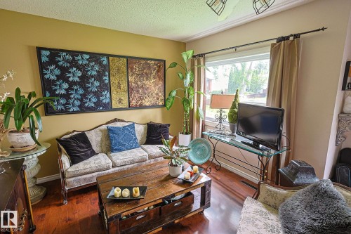 Hardwood flooring, crown molding, double window with neutral drapes, textured wall finish, and overhead lighting - 11739 129 Street Nw, Edmonton, AB 