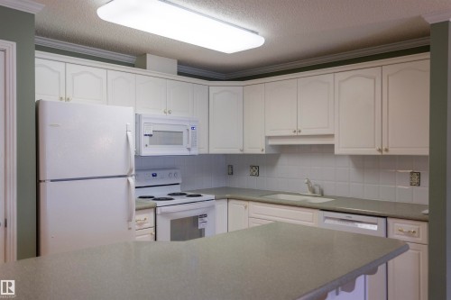 Kitchen featuring white cabinetry, built-in appliances, a dual-basin sink, and overhead lighting - #204 2420 108 St Nw, Edmonton, AB - Indoor Photo Showing Kitchen