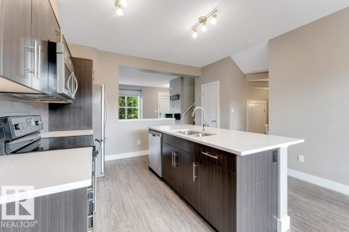 2122 24 Street Nw, Edmonton, AB - Indoor Photo Showing Kitchen With Double Sink