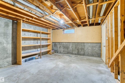 117 Tudor Lane Nw, Edmonton, AB - Indoor Photo Showing Basement