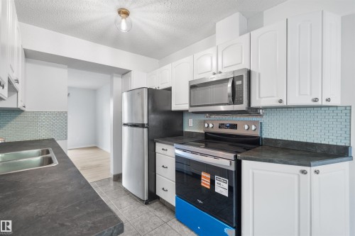 117 Tudor Lane Nw, Edmonton, AB - Indoor Photo Showing Kitchen With Double Sink