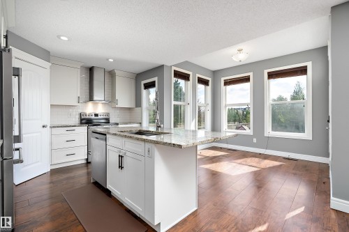 1103 115 Street Sw, Edmonton, AB - Indoor Photo Showing Kitchen With Double Sink With Upgraded Kitchen