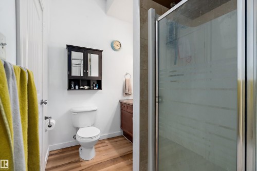 1103 115 Street Sw, Edmonton, AB - Indoor Photo Showing Bathroom