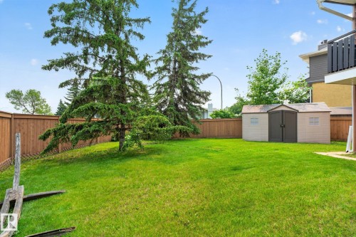 Expansive green lawn with mature evergreen trees, privacy fencing, and a detached storage shed - 10644 158 Avenue Nw, Edmonton, AB - Outdoor With Backyard