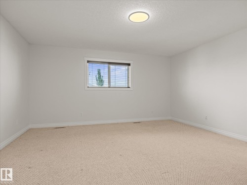 4704 160 Avenue Nw, Edmonton, AB - Indoor Photo Showing Other Room