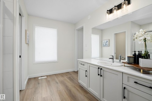 13007 213 Street Nw, Edmonton, AB - Indoor Photo Showing Bathroom