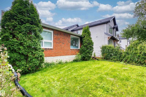 Expansive lawn area with mature evergreen trees and established hedges - 8723 81 Avenue Nw, Edmonton, AB - Outdoor