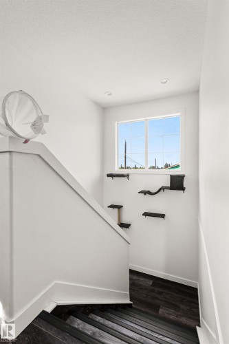 Additional content - 15713 102 Avenue Nw, Edmonton, AB - Indoor Photo Showing Other Room