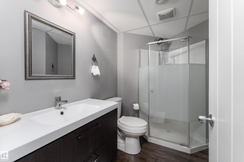 2055 Redtail Common Nw, Edmonton, AB - Indoor Photo Showing Bathroom