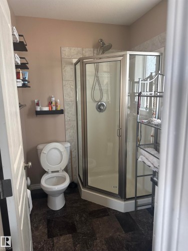 10 Mackenzie Ranch Way, Lacombe, AB - Indoor Photo Showing Bathroom