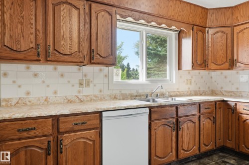 8119 24 Avenue Nw, Edmonton, AB - Indoor Photo Showing Kitchen With Double Sink