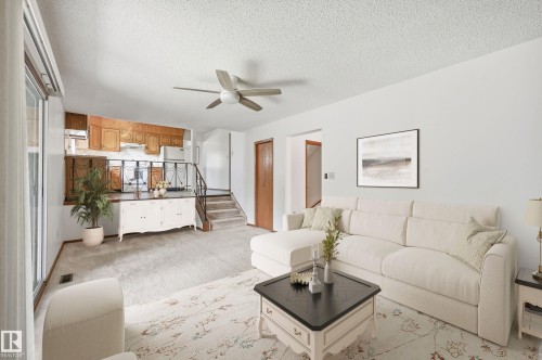 8119 24 Avenue Nw, Edmonton, AB - Indoor Photo Showing Living Room