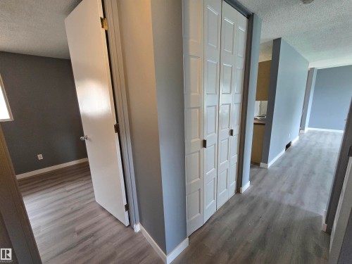 Wood-finish flooring throughout, with white trim and closet doors - 10829 167A Avenue Nw, Edmonton, AB - Indoor Photo Showing Other Room