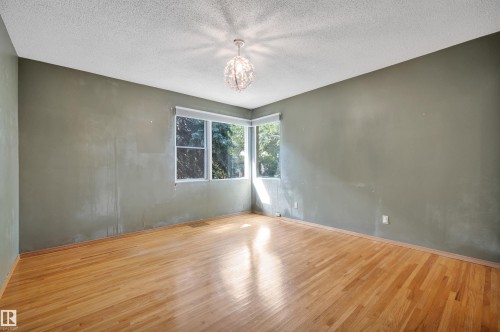 11446 75 Avenue Nw, Edmonton, AB - Indoor Photo Showing Other Room