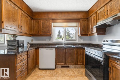 10502 158 Street Nw, Edmonton, AB - Indoor Photo Showing Kitchen With Double Sink