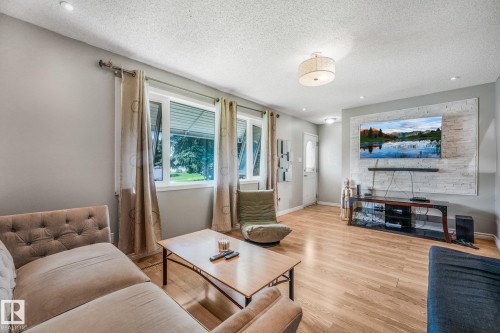 5914 91 Avenue Nw, Edmonton, AB - Indoor Photo Showing Living Room