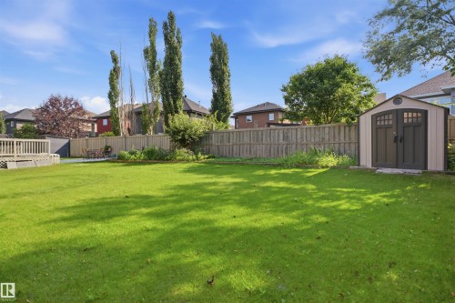 Expansive backyard featuring a manicured lawn, a raised wooden deck, a storage shed with double doors, and a wood privacy fence - 427 Windermere Road Nw, Edmonton, AB - Outdoor With Backyard