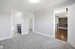 Carpeted room with light gray walls, an attached bathroom featuring a dark vanity with a light countertop, and an adjacent closet space - 