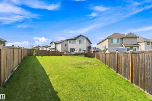 Expansive grass yard with wood fencing - 1103 26 Avenue Nw, Edmonton, AB - Outdoor With Backyard