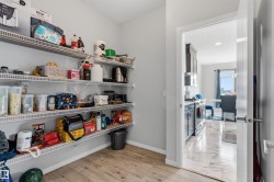 Pantry with wire shelving and wood-finish flooring - 